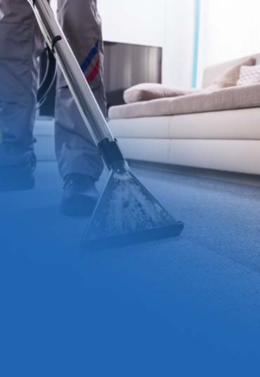 Carpet Cleaning Services Carpet Cleaning Services